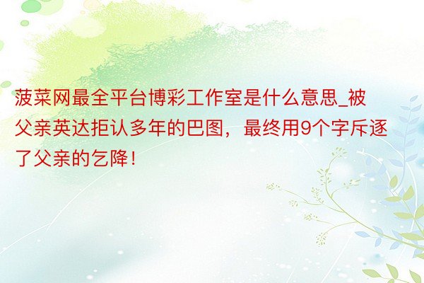 菠菜网最全平台博彩工作室是什么意思_被父亲英达拒认多年的巴图，最终用9个字斥逐了父亲的乞降！